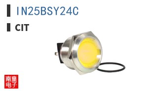 IN25BSY24C ͼƬ