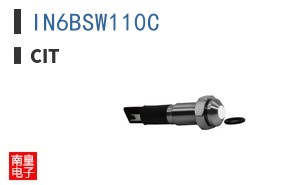 IN6BSW110C ͼƬ