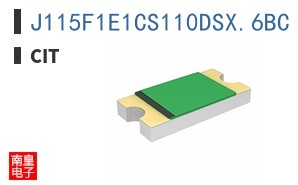 J115F1E1CS110DSX.6BC ͼƬ