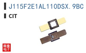 J115F2E1AL110DSX.9BC ͼƬ