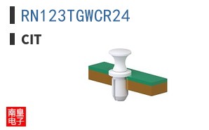 RN123TGWCR24 ͼƬ