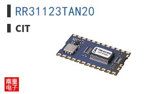 RR31123TAN20 ͼƬ