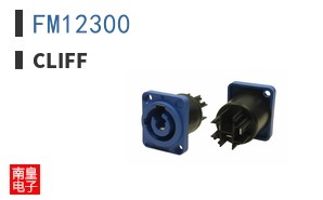 FM12300 ͼƬ