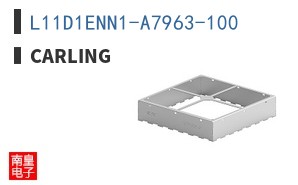 L11D1ENN1-A7963-100 ͼƬ