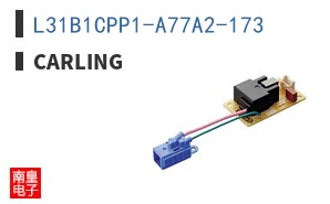 L31B1CPP1-A77A2-173 ͼƬ