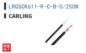 LRGSCK611-R-C-B-0/250N ͼƬ