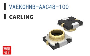 VAEKGHNB-AAC48-100 ͼƬ