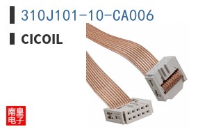 310J101-10-CA006 ͼƬ