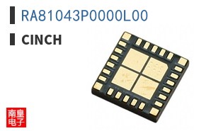RA81043P0000L00 ͼƬ