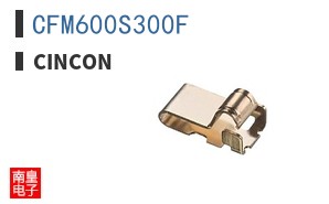 CFM600S300F ͼƬ