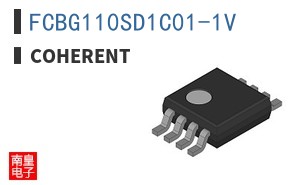 FCBG110SD1C01-1V ͼƬ