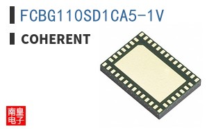 FCBG110SD1CA5-1V ͼƬ