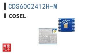 CDS6002412H-M ͼƬ