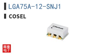 LGA75A-12-SNJ1 ͼƬ