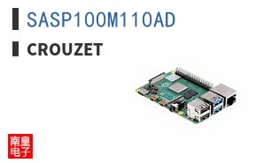 SASP100M110AD ͼƬ