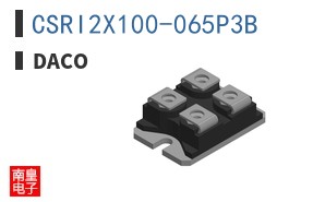 CSRI2X100-065P3B ͼƬ