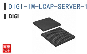 DIGI-IM-LCAP-SERVER-1YR ͼƬ