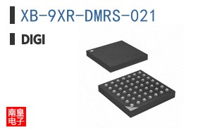 XB-9XR-DMRS-021 ͼƬ