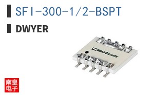 SFI-300-1/2-BSPT ͼƬ