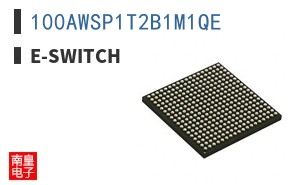 100AWSP1T2B1M1QE ͼƬ