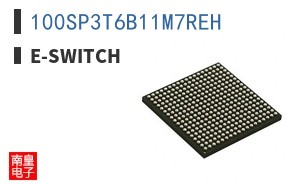 100SP3T6B11M7REH ͼƬ