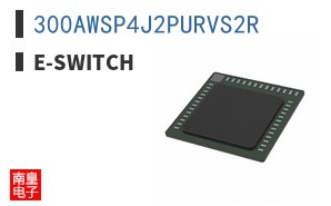 300AWSP4J2PURVS2R ͼƬ