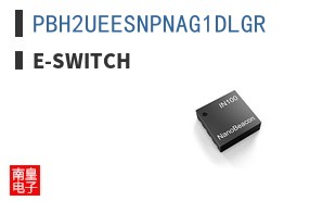 PBH2UEESNPNAG1DLGR ͼƬ