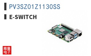 PV3SZ01Z1130SS ͼƬ