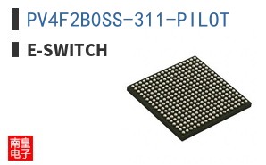 PV4F2B0SS-311-PILOT ͼƬ