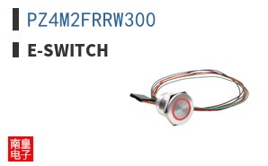 PZ4M2FRRW300 ͼƬ