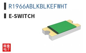 R1966ABLKBLKEFWHT ͼƬ