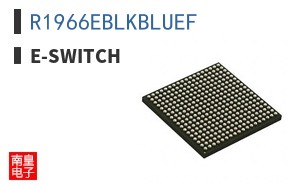 R1966EBLKBLUEF ͼƬ