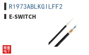 R1973ABLKGILFF2 ͼƬ
