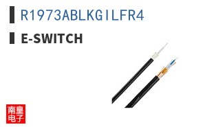 R1973ABLKGILFR4 ͼƬ