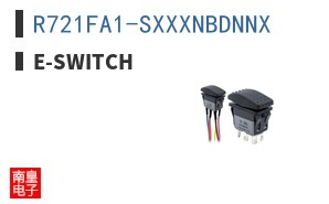 R721FA1-SXXXNBDNNX ͼƬ