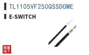 TL1105VF250QSSDOME ͼƬ