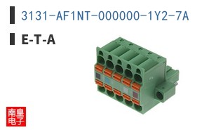 3131-AF1NT-000000-1Y2-7A ͼƬ