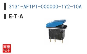 3131-AF1PT-000000-1Y2-10A ͼƬ