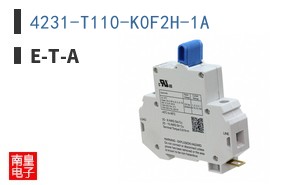 4231-T110-K0F2H-1A ͼƬ