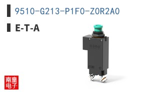 9510-G213-P1F0-Z0R2A0 ͼƬ