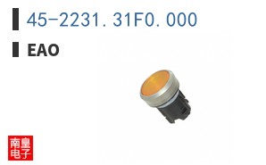 45-2231.31F0.000 ͼƬ