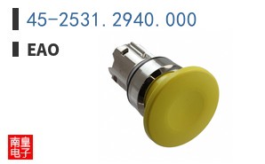 45-2531.2940.000 ͼƬ