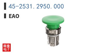 45-2531.2950.000 ͼƬ