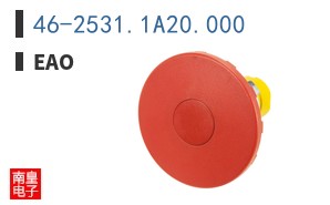 46-2531.1A20.000 ͼƬ