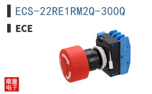 ECS-22RE1RM2Q-300Q ͼƬ