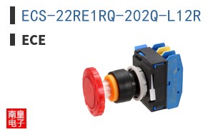 ECS-22RE1RQ-202Q-L12R ͼƬ