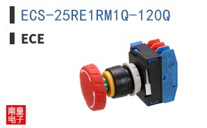 ECS-25RE1RM1Q-120Q ͼƬ