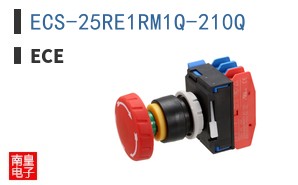 ECS-25RE1RM1Q-210Q ͼƬ