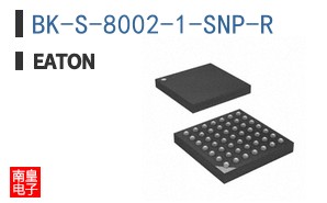 BK-S-8002-1-SNP-R ͼƬ