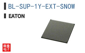 BL-SUP-1Y-EXT-SNOW ͼƬ